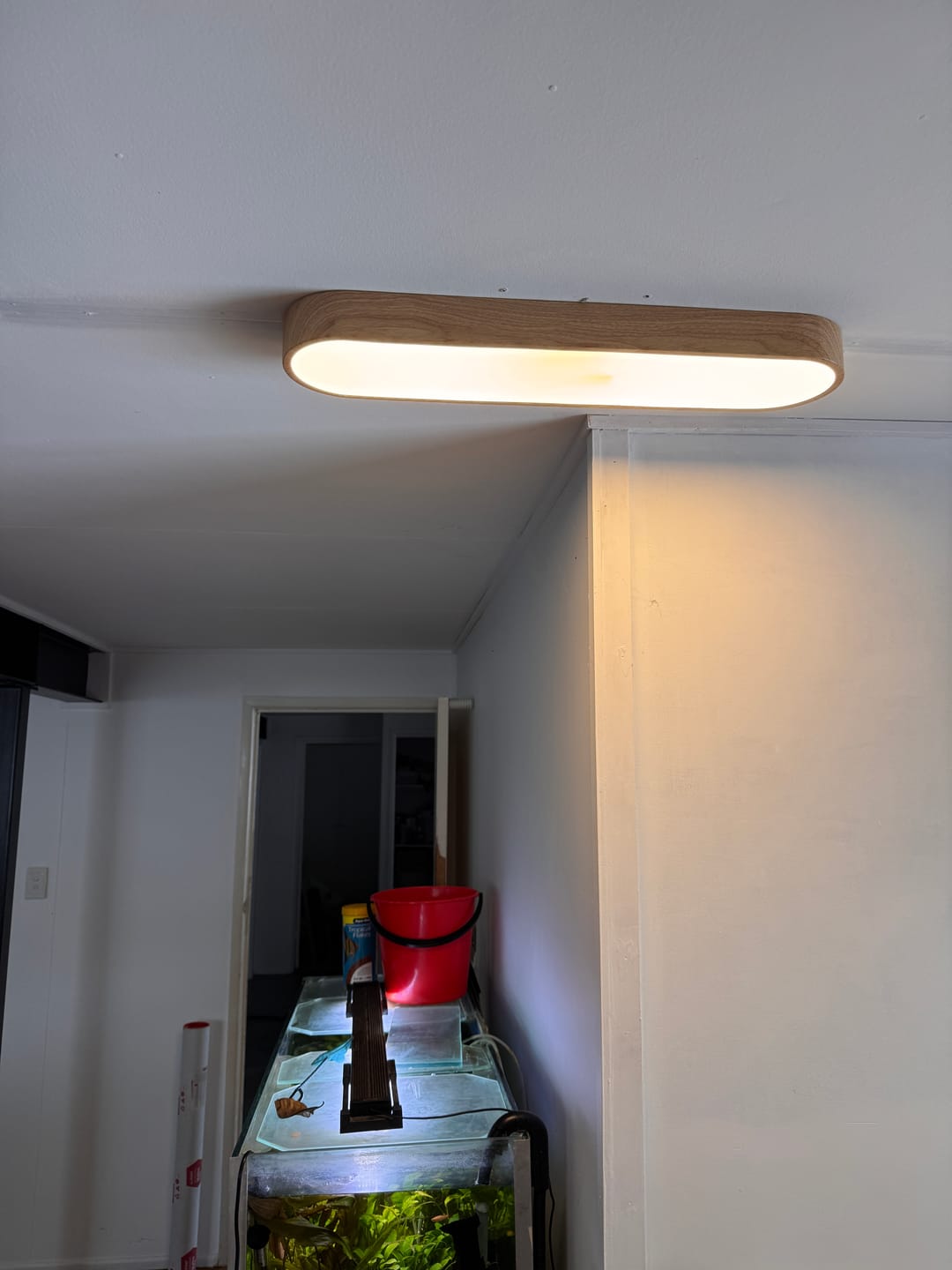Customer photo review of Nordic 1-Light Oval Shape Led Ceiling Flush Mount With Wood Accent
