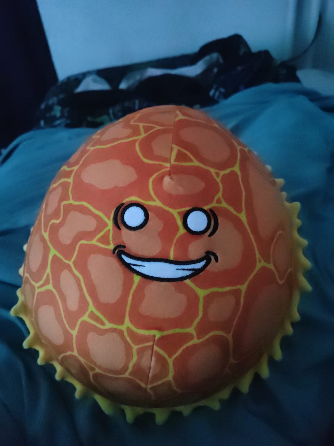 Customer photo review of The SolarBalls Sun Plush