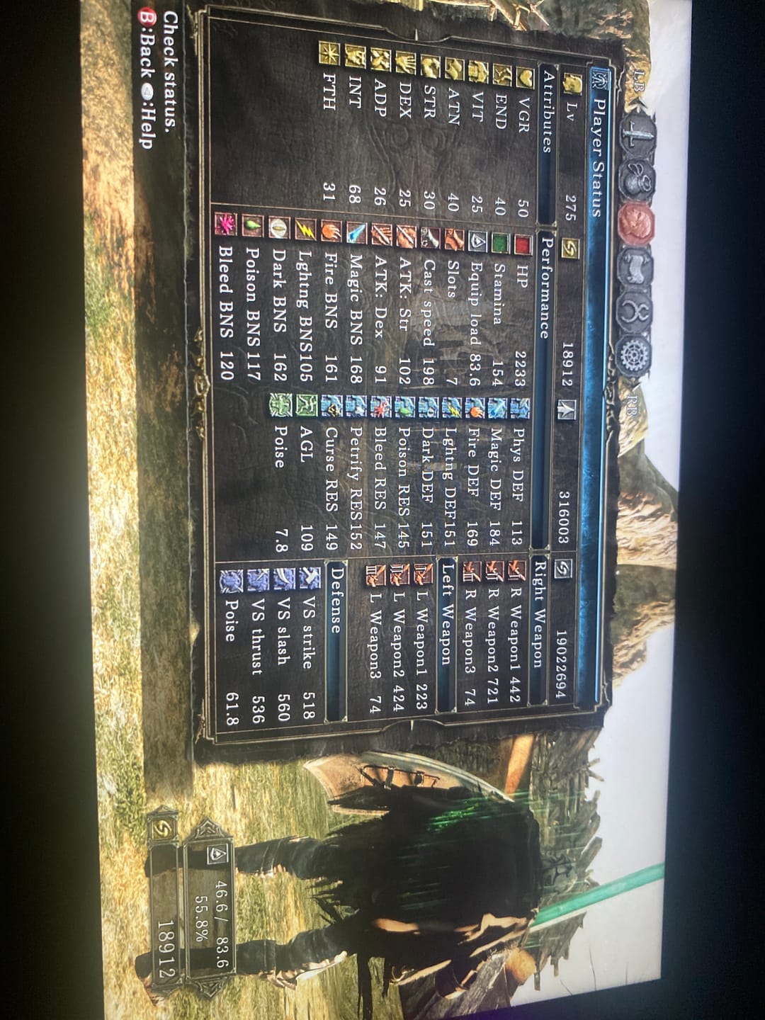 Customer photo review of Dark Souls 2 Items & Souls