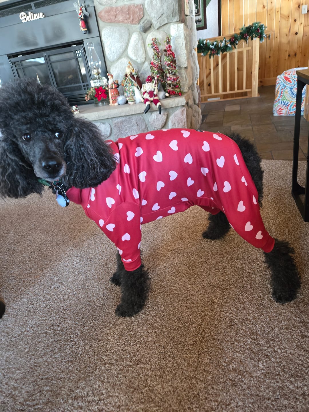 Customer photo review of Dog Pajama - Red Hearts