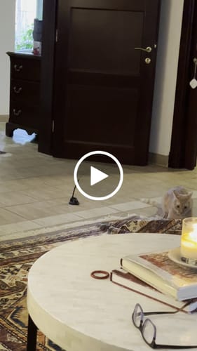 Customer video review of Interactive Bird Simulation Cat Toy Set