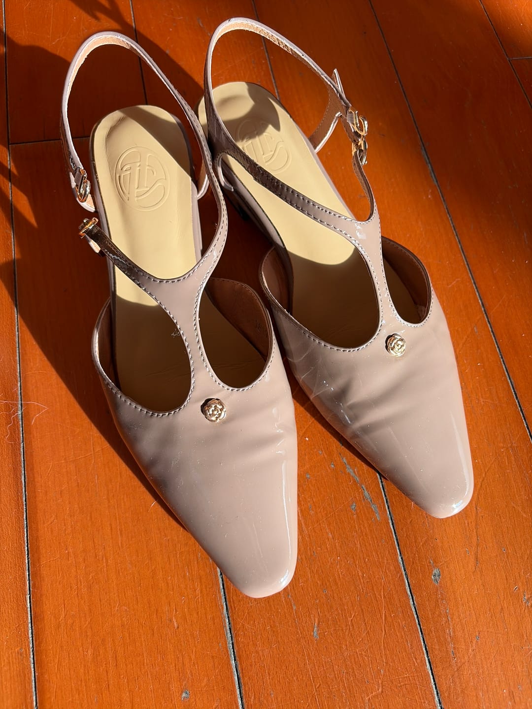 Customer photo review of L'opéra 𓆟 Pointed-Toe Ankle-Strap Slingback