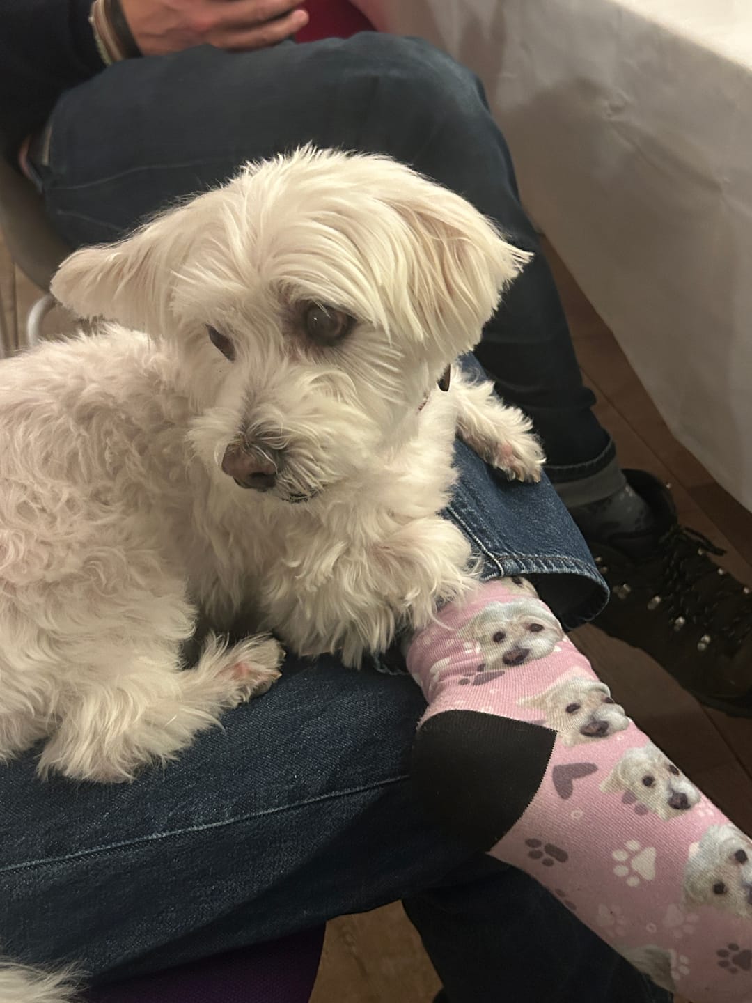 Customer photo review of Dein Foto - Individuelle Socken