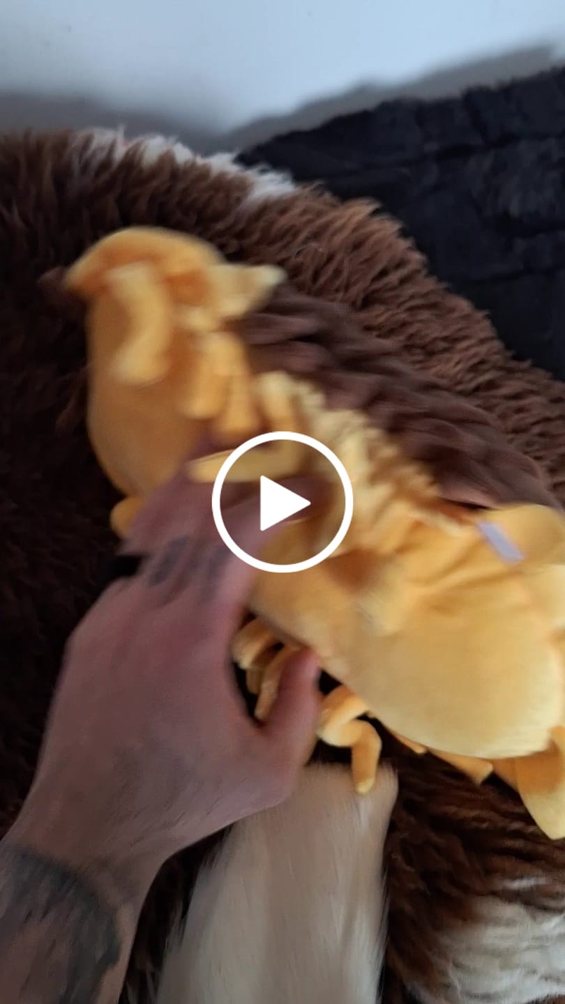 Customer video review of Roly-poly Bug Soft Stuffed Plush Toy
