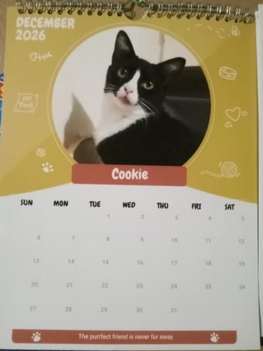 Customer photo review of Official Pupvote Cutest Pets of the Year Calendar (2026)