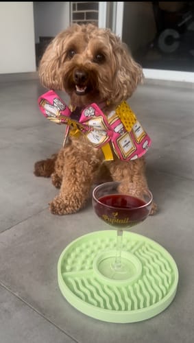 Customer photo review of Poochtini Glass