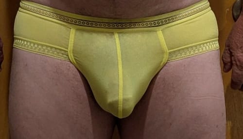 Customer photo review of Men's Sexy Hollow Low-rise Briefs