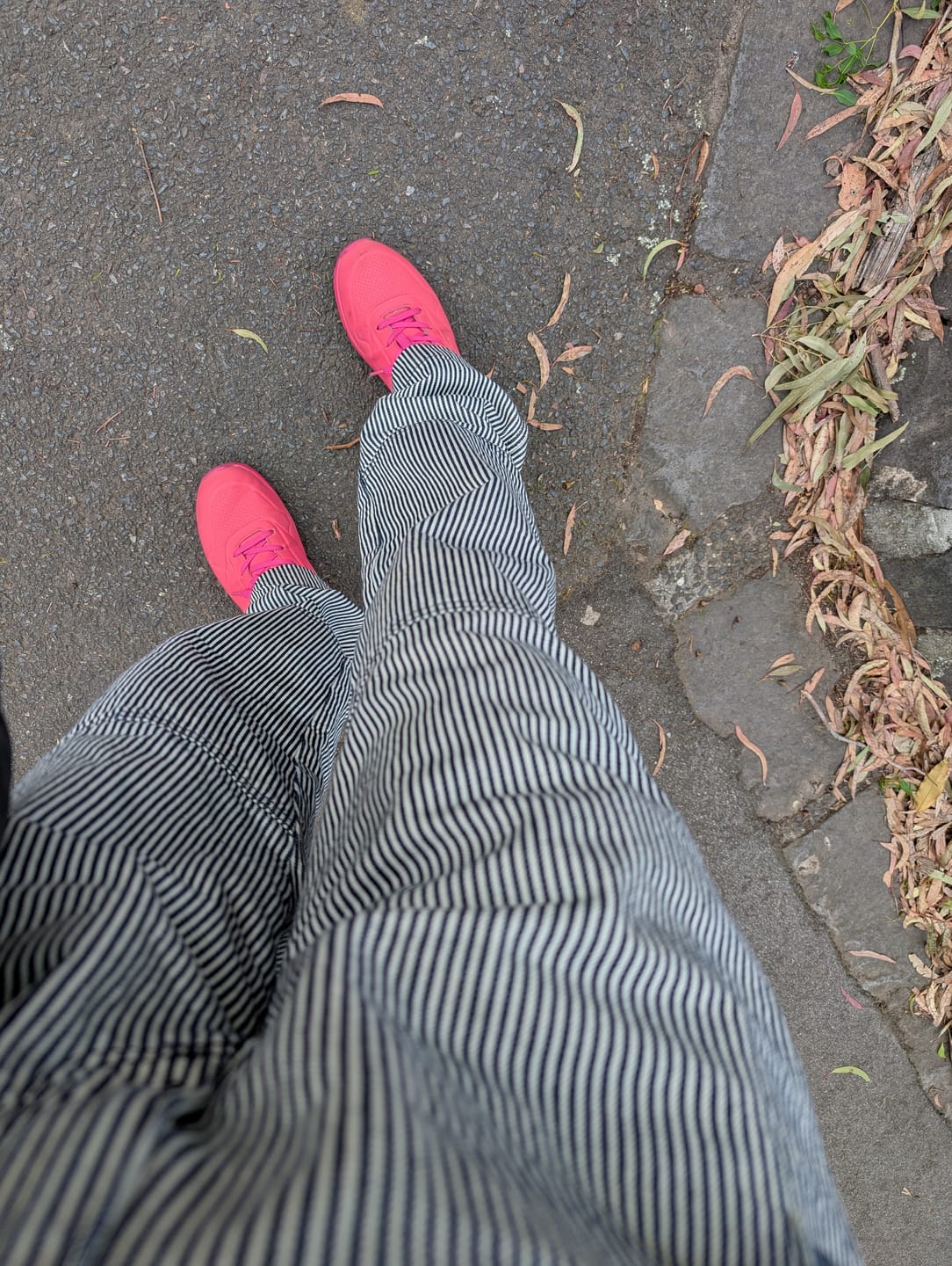 Customer photo review of 2 Way Work Pants - Hickory