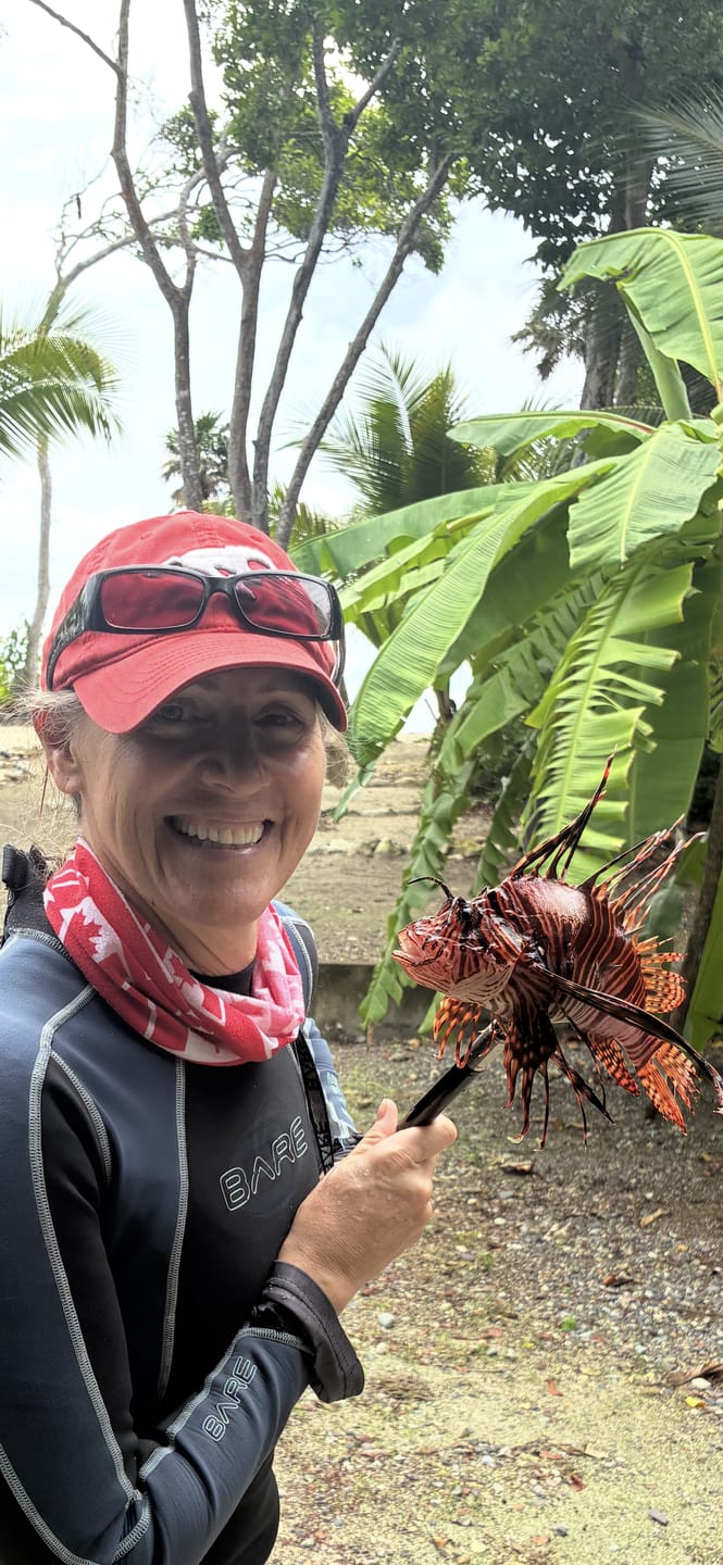 Customer photo review of Red Lionfish Soft Stuffed Plush Toy