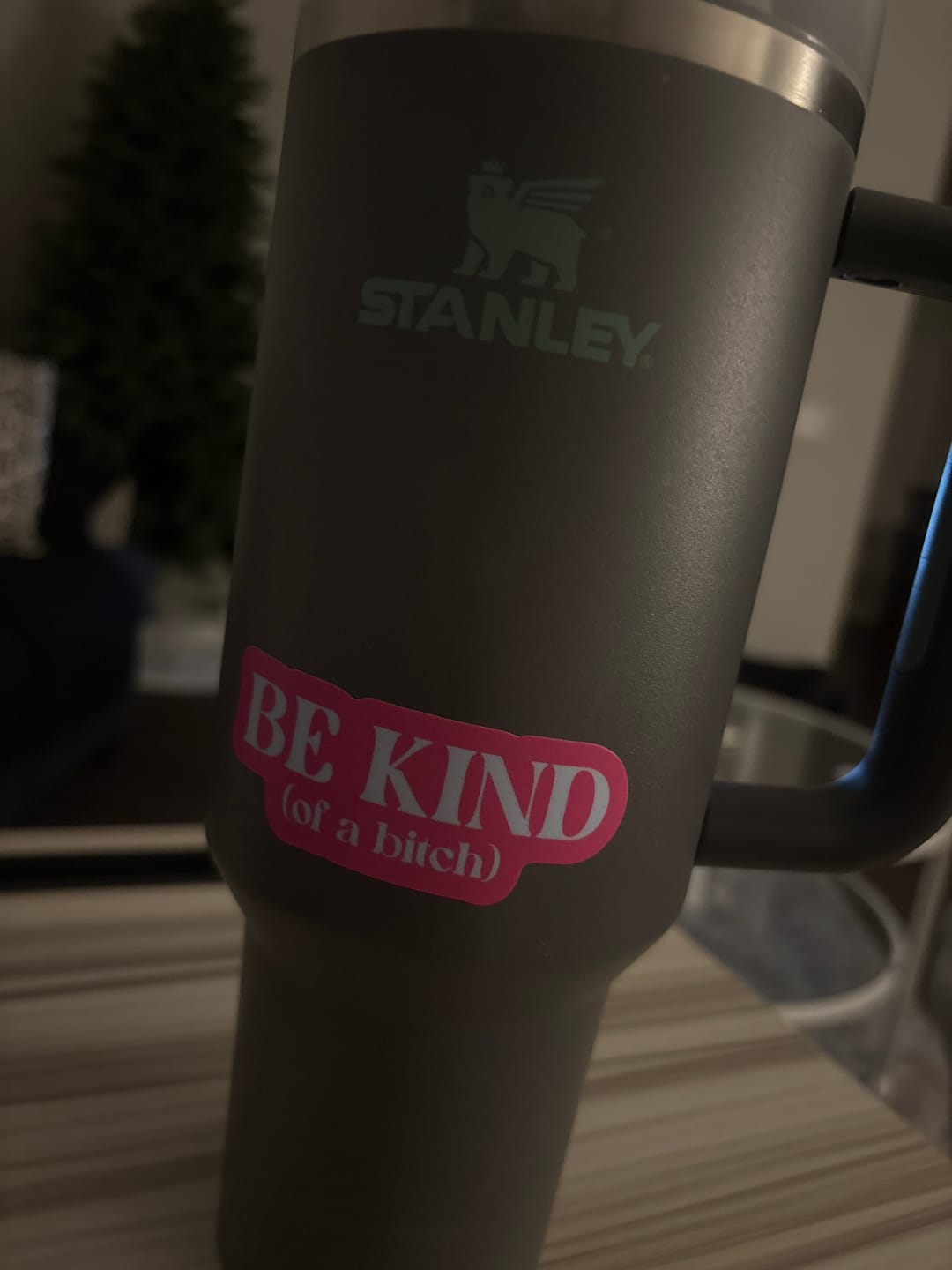 Customer photo review of Be Kind (of a bitch) Snarky Pink Text Sticker