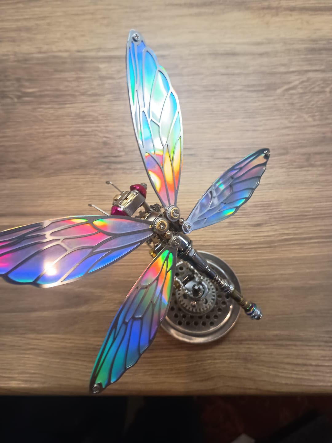 Customer photo review of Dragonfly