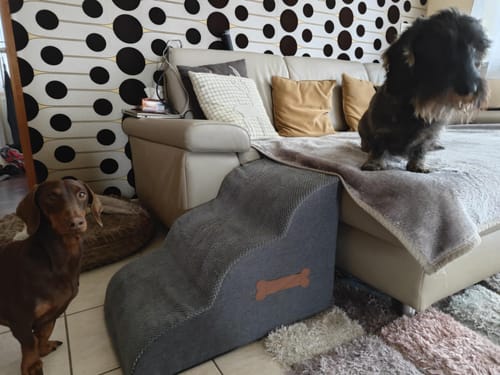 Customer photo review of FurStairs  Beltéri Kutyalépcső – Ágyra és Kanapéra Ugrás Nélkül