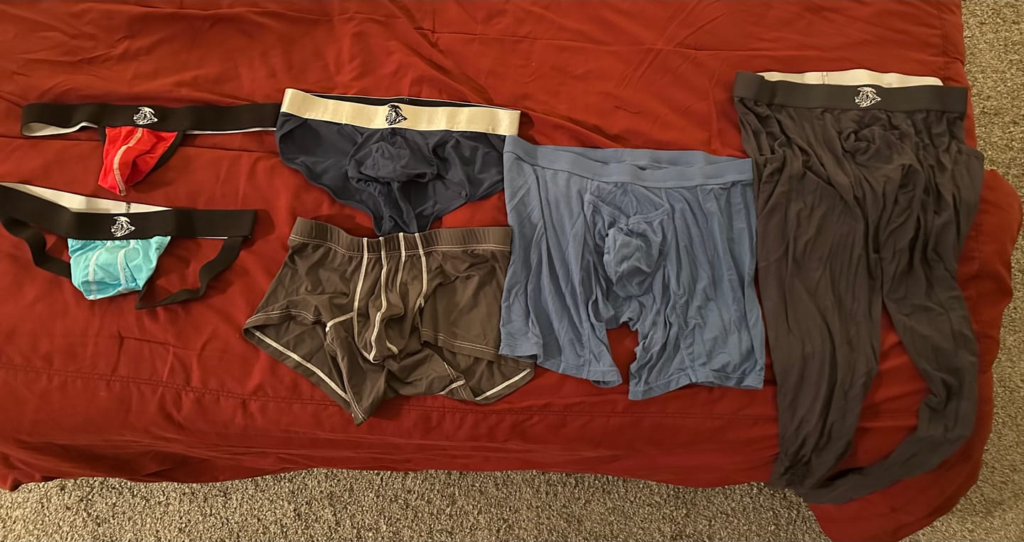 Customer photo review of Nylon 0in Mesh Bikini Briefs No Fly 4pk Black/Blue/Gray/Wineberry
