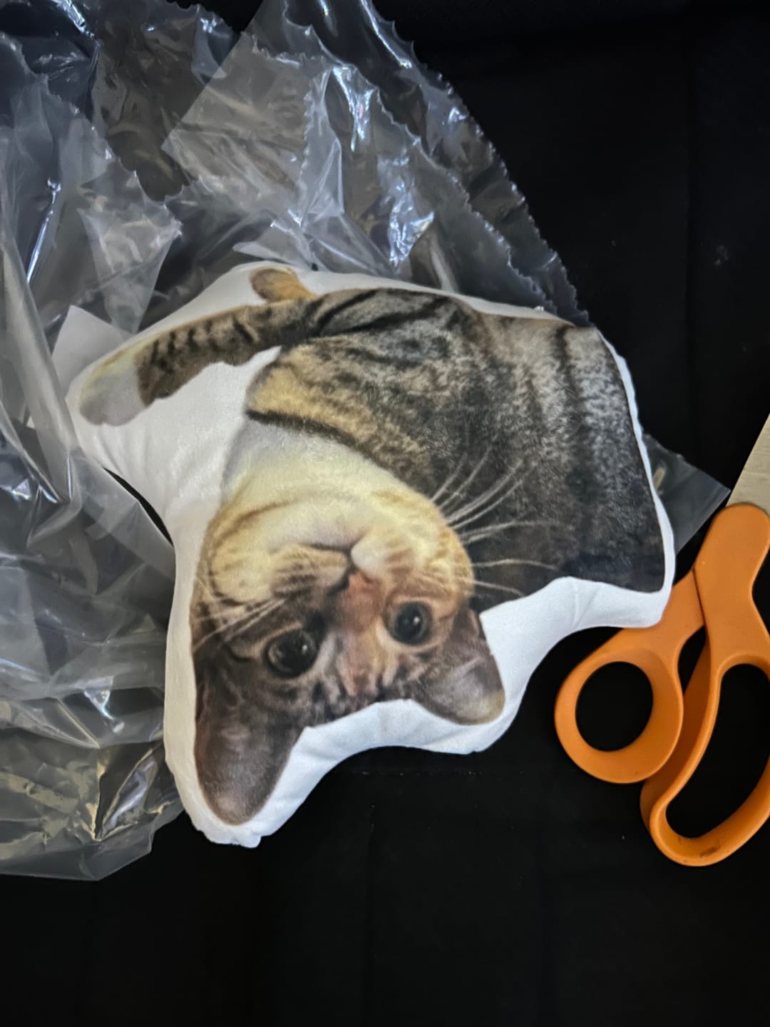 Customer photo review of Custom Shaped Pillow with Loved One Picture of Person/Pet Personalized 3d Photo Pillow