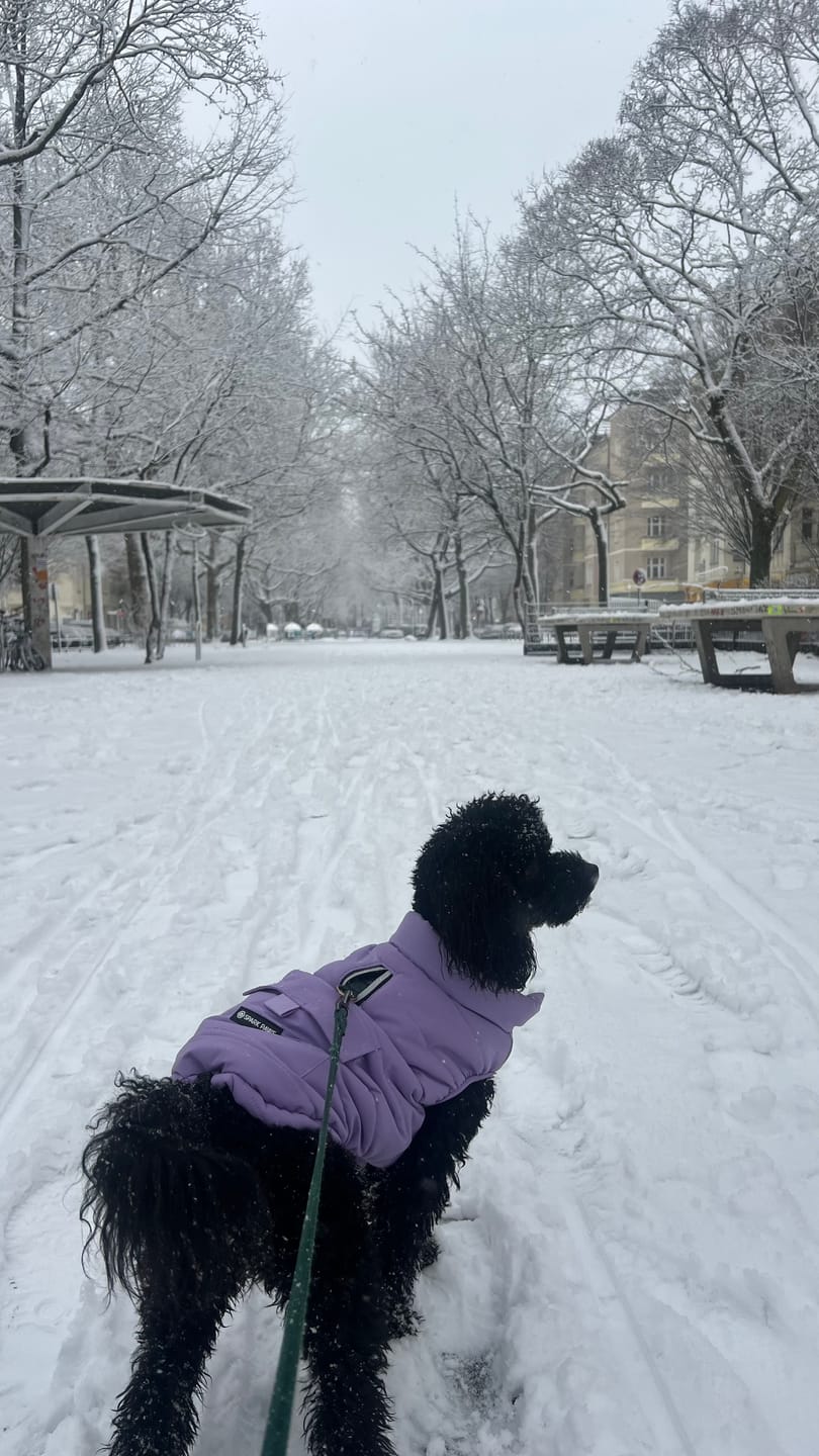 Customer photo review of WarmShield Water-Resistant Jacket - Lilac