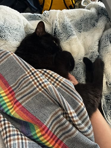 Customer photo review of Scarf + Beanie Bundle