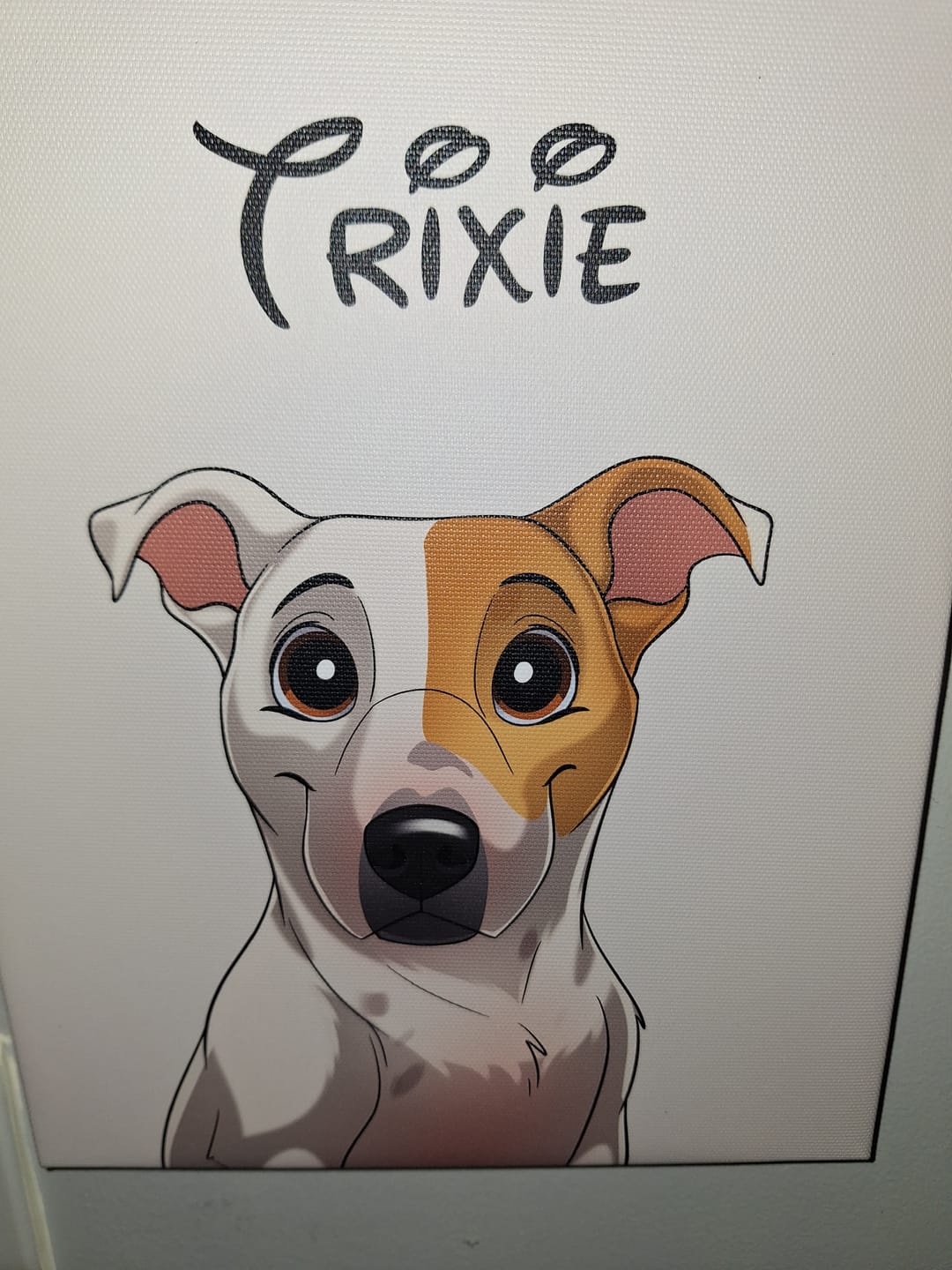 Customer photo review of Disneyfy Pet Cartoon Hand Drawn Portrait