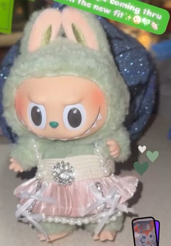 Customer photo review of Labubu Looks Mini Fits & Accessories