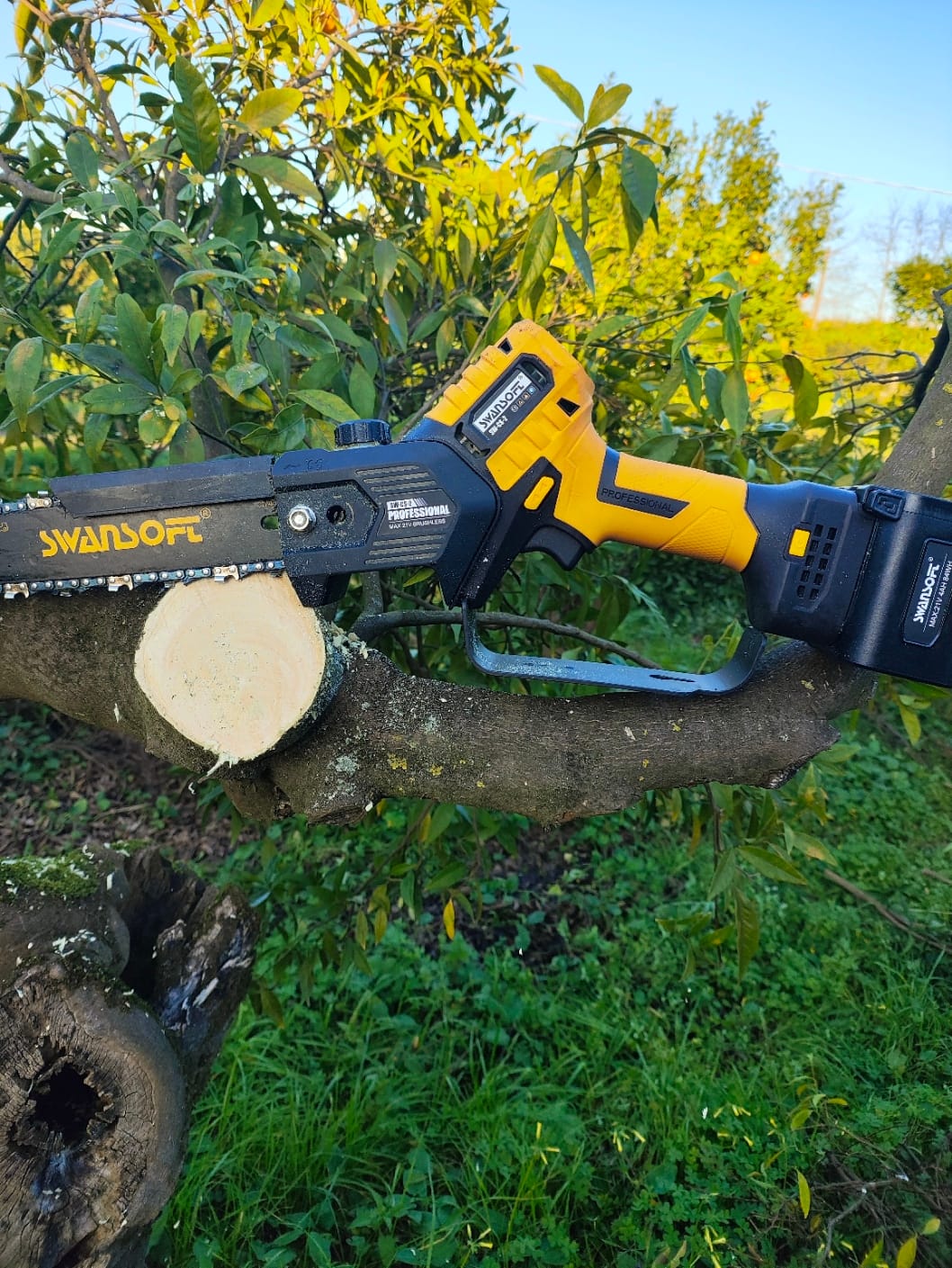 Customer photo review of Potatore Swansoft CS-2 6"