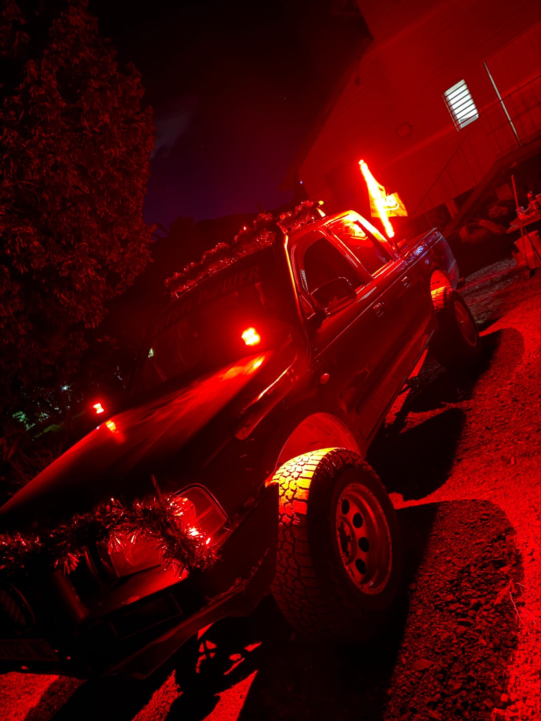 Customer photo review of 3ft LED Whip Lights
