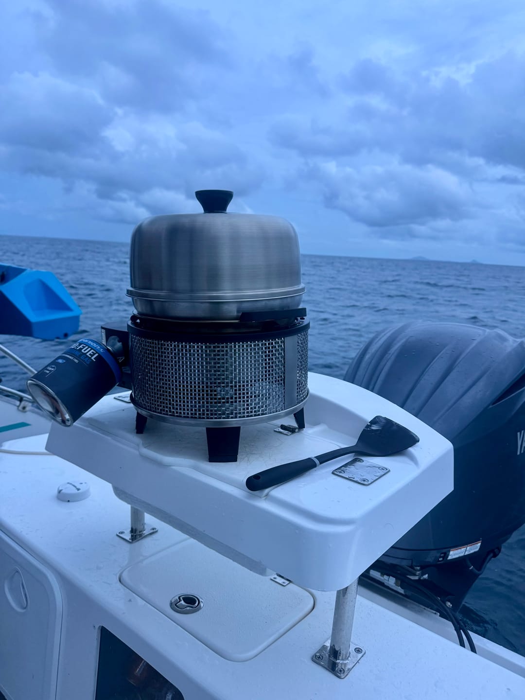Customer photo review of COBB Grill Gas Bundle