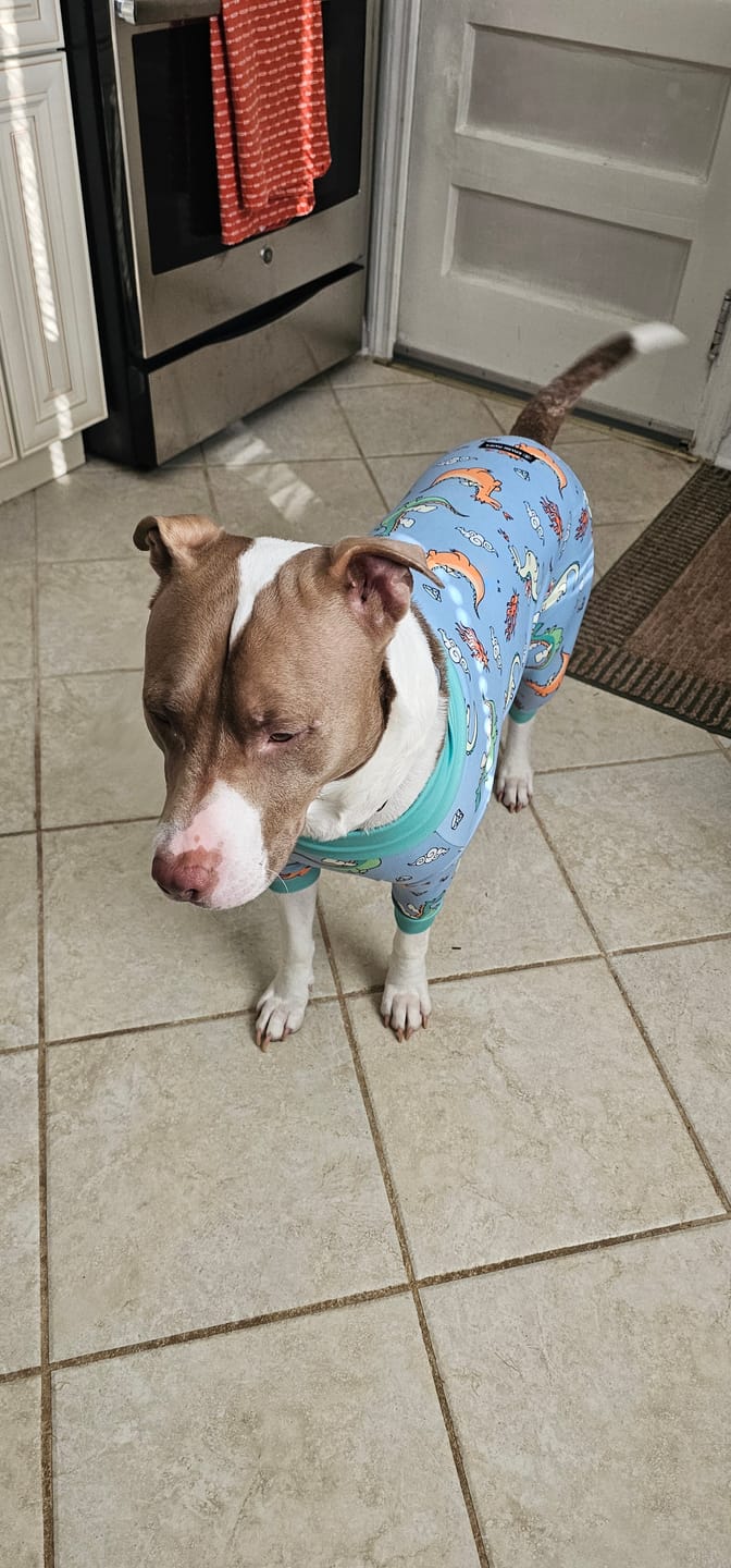 Customer photo review of Dog Pajama - Dragons