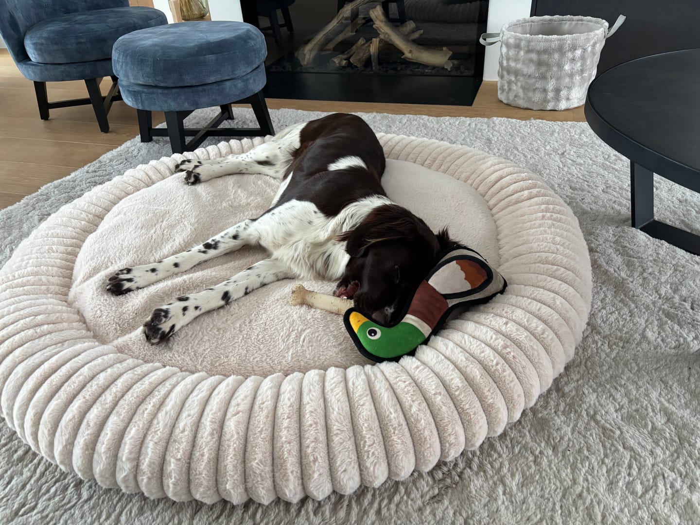 Customer photo review of Pet Perfect Hoes (ZONDER VULLING) voor Orthopedische Donutmand - ZONDER VULLING