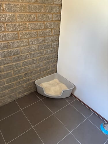 Customer photo review of Fit Litter PLUS - 1 month supply - 1 cat