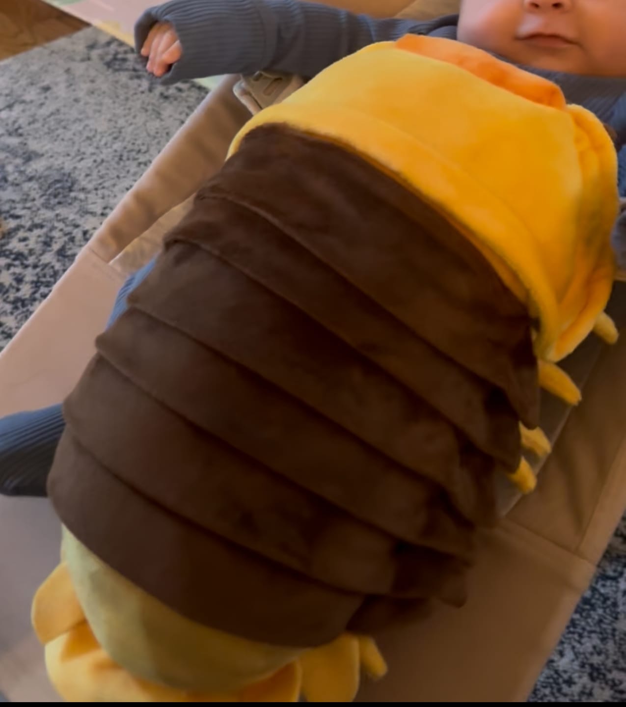 Customer photo review of Specimen 1 - Giant African Millipede Plush