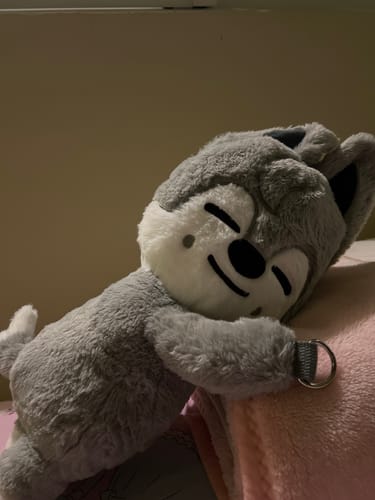 Customer's grey SKZOO plush bag, a smiling wolf character, resting on a pink blanket.