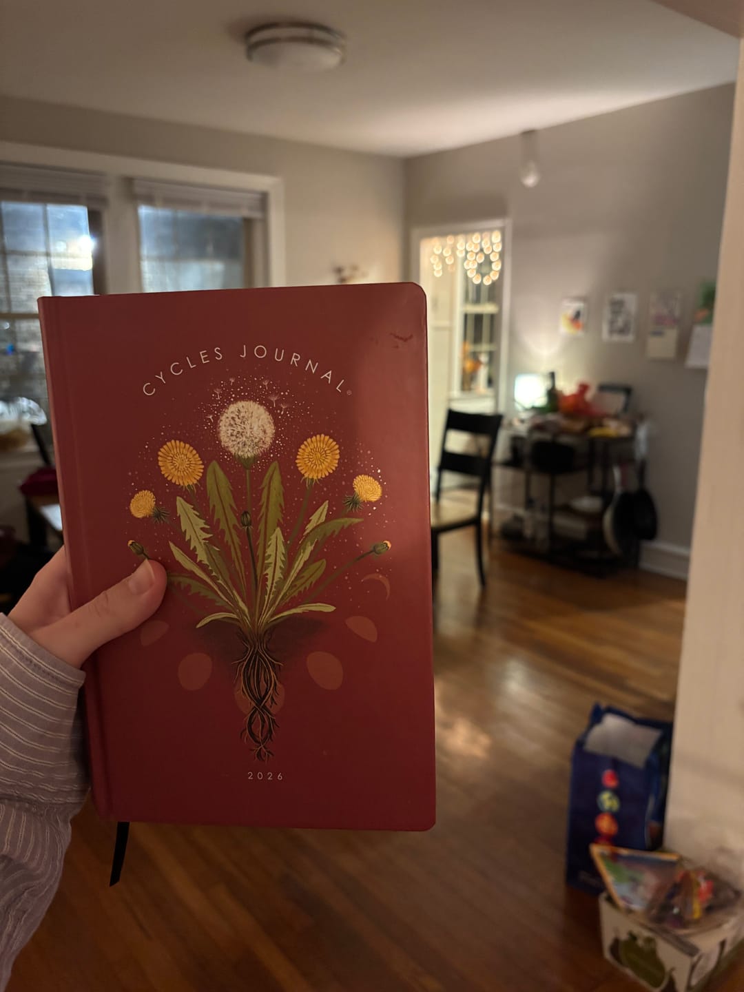 Customer photo review of Cycles Journal® 2026: Lunar Planner & Cycle Tracker for Whole-Body Awareness — more than just mental &/or menstrual health