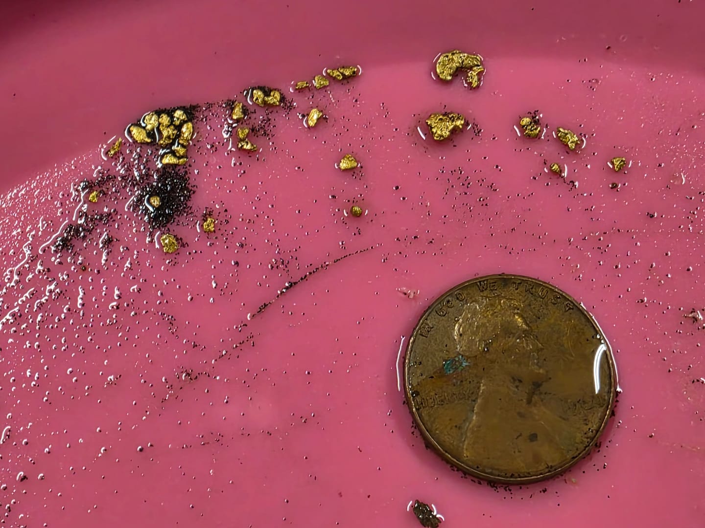 Customer photo review of Bering Sea Paydirt | Dream Mat Caught Gold | Gold Prospecting