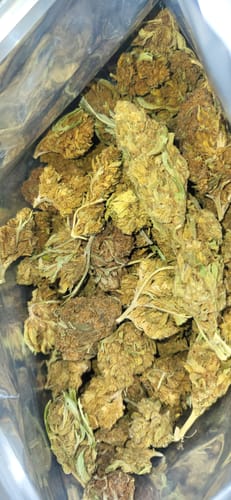 Customer photo review of Bulk THCA Flower Pounds