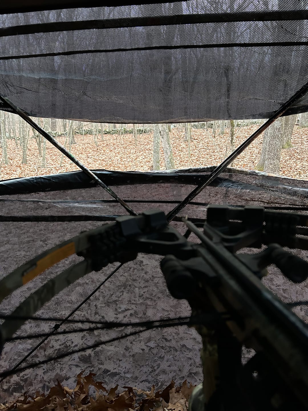 Customer photo review of Vis360 See Through Ground Blind | 360° Camouflage Pop Up Hunting Blind for 2/3/4 Person | Portable Deer Blind with Orange Cover