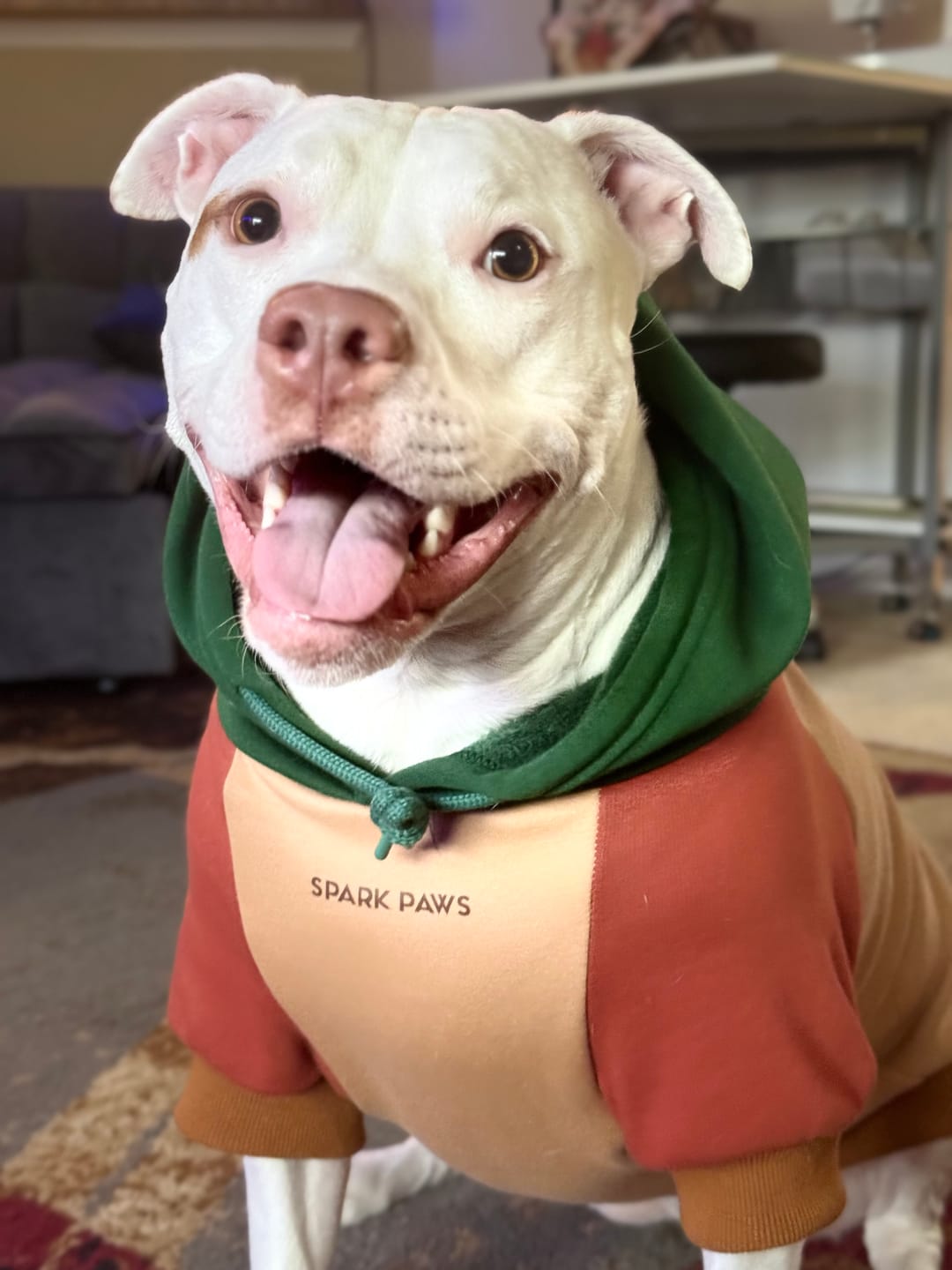 Customer photo review of Ranger Dog Hoodie