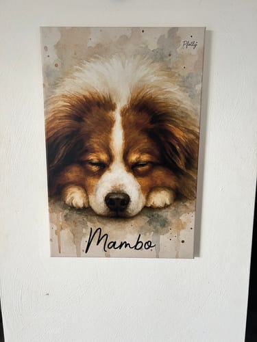 Customer photo review of Dein Haustier als Porträt - Individuelle Leinwand