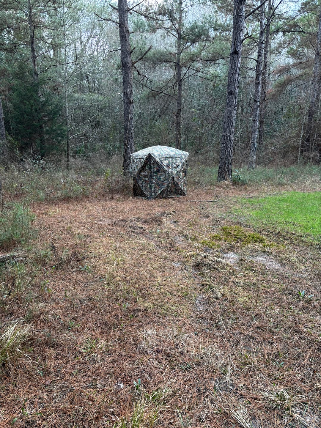Customer photo review of Vis360 See Through Silent 4 Full Panels Deer Hunting Blind