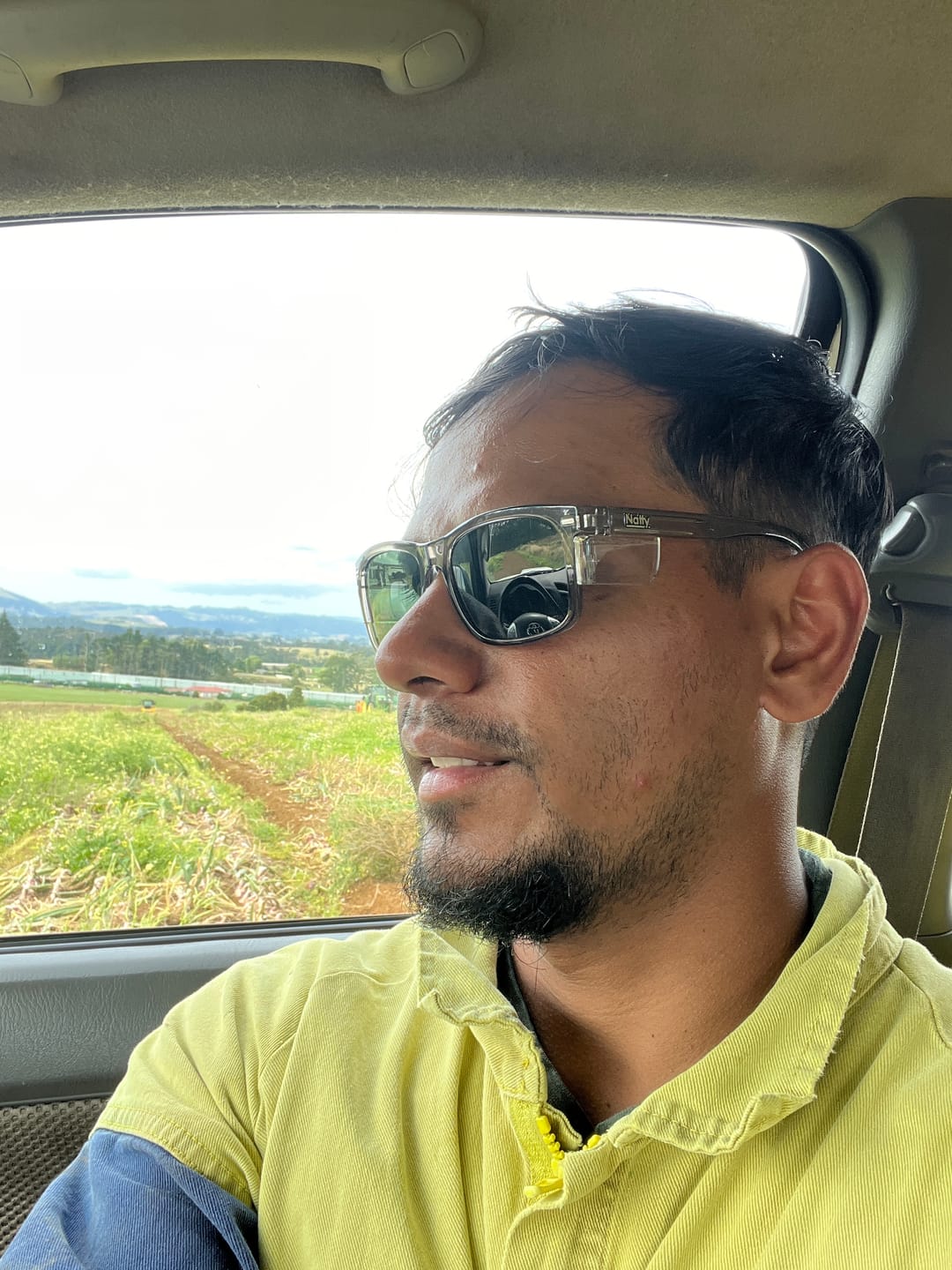 Customer photo review of Kenneth Steel Polarised Safety Glasses