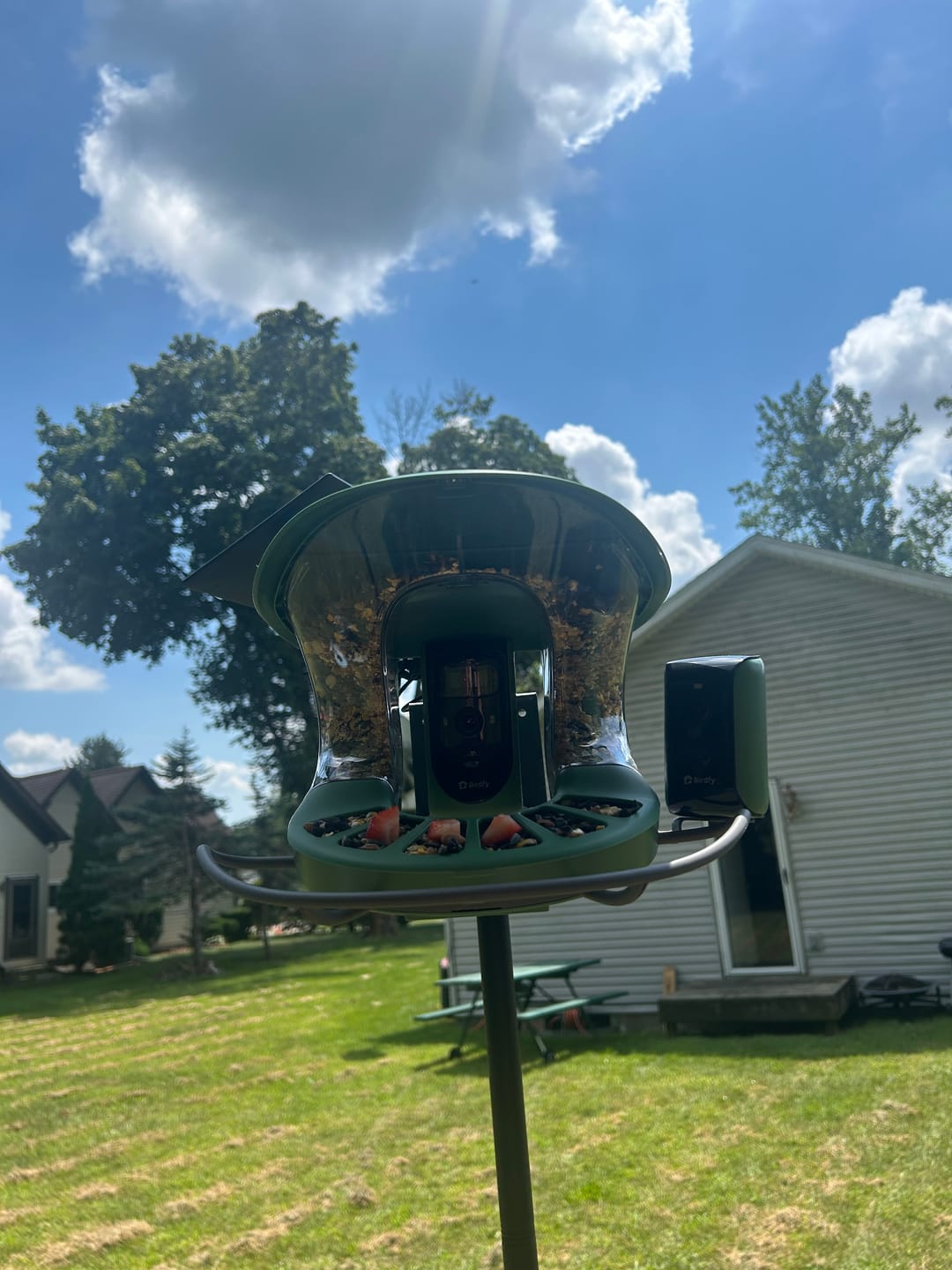 Customer photo review of Birdfy Feeder 2 Pro - Dual-Lens Smart Bird Feeder with Camera
