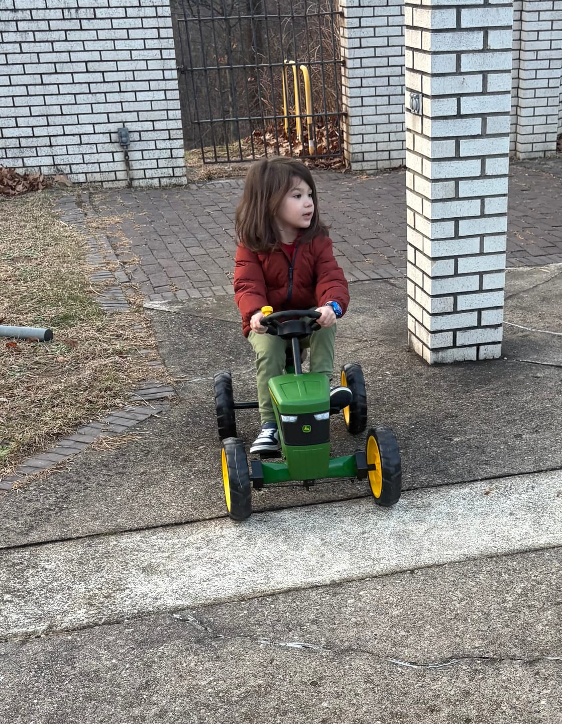 Customer photo review of BERG Buzzy