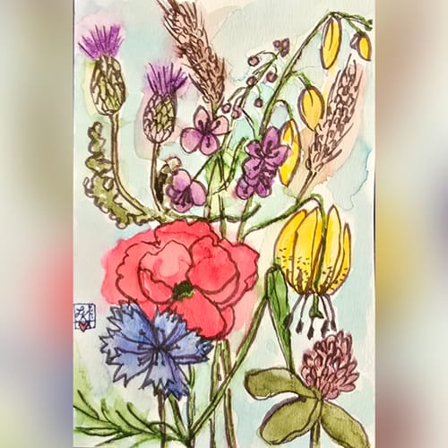 Customer photo review of SketchBox Premium Monthly Plan