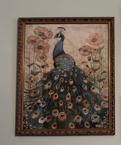 Customer photo review of Enchanted Peacock Print
