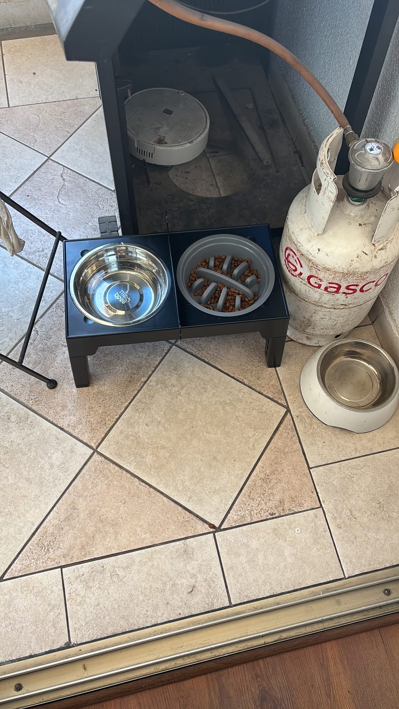 Customer photo review of Comedero Elevado THE DOGS Postura correcta en cada comida