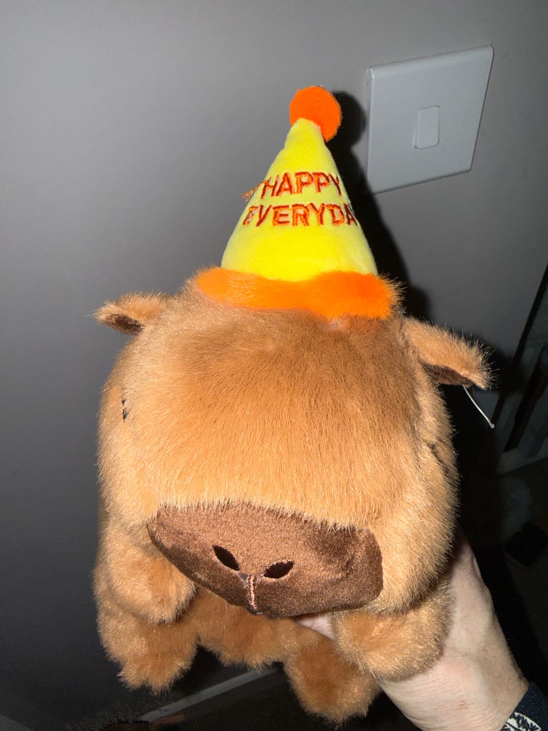 Customer photo review of Happy Birthday Capybara