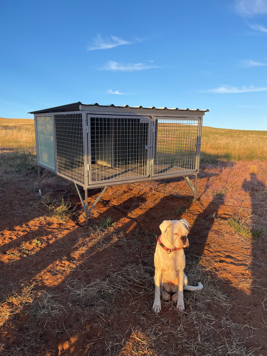 Customer photo review of Raised Safety Kennel