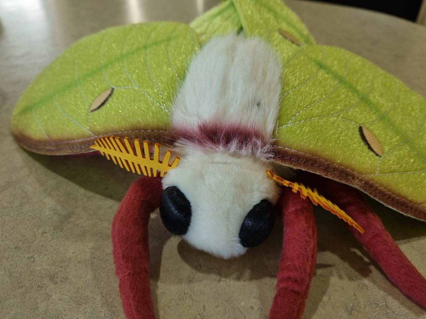 Customer photo review of Indian Moon Moth Soft Stuffed Plush Toy