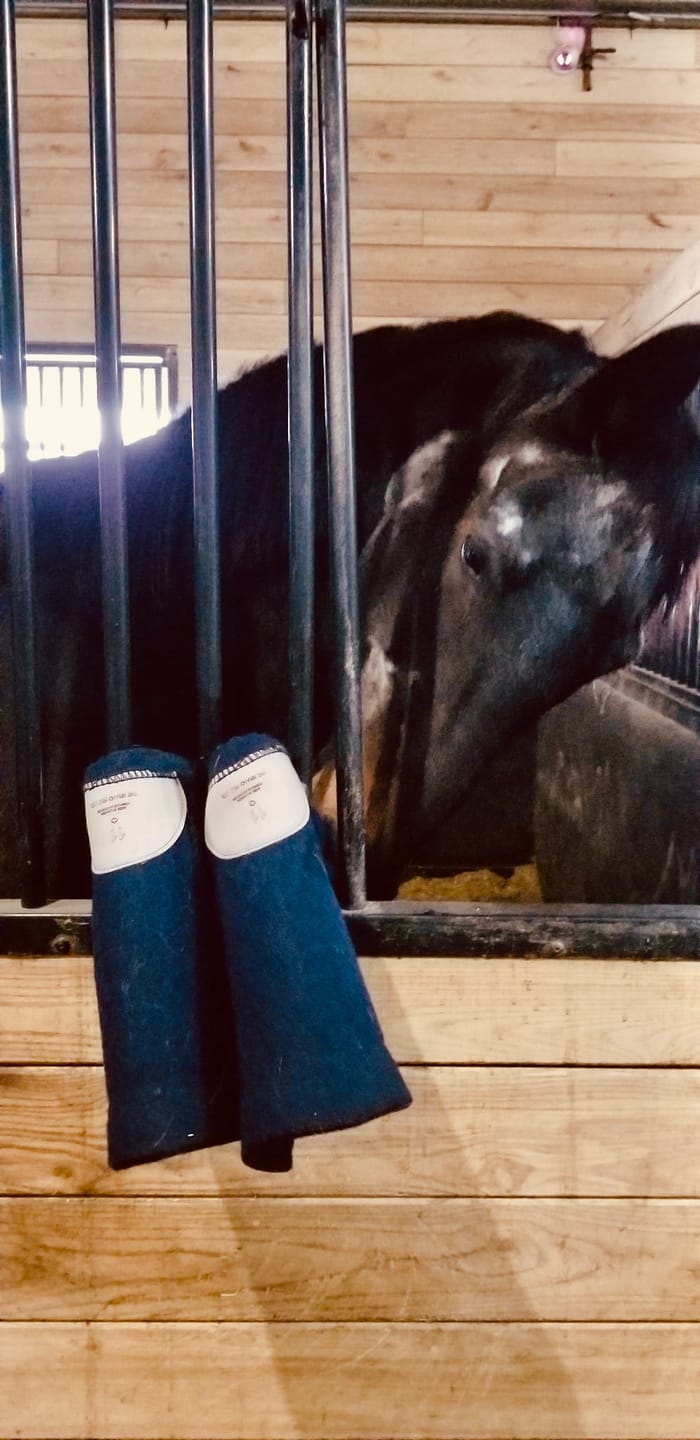Customer photo review of Wool Felt Replacement Boot Liners (826 BB)