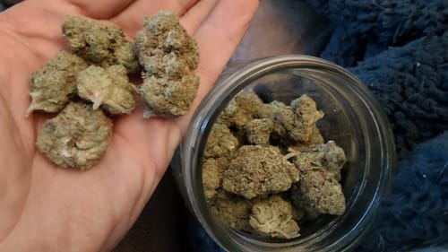 Customer photo review of Gas Face - Bulk - Indica