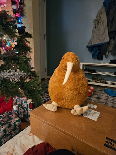Customer photo review of Kiwi Soft Stuffed Plush Toy