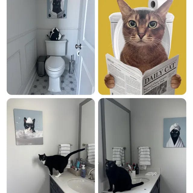 Customer photo review of Cat Reading Newspaper